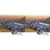 Telewizor LED Medion MD 31650 50" 4K UHD czarny